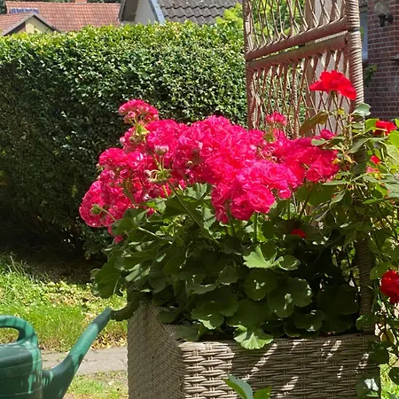 Apartmán Wunderschoene Zwischen Bremen Und Hamburg *