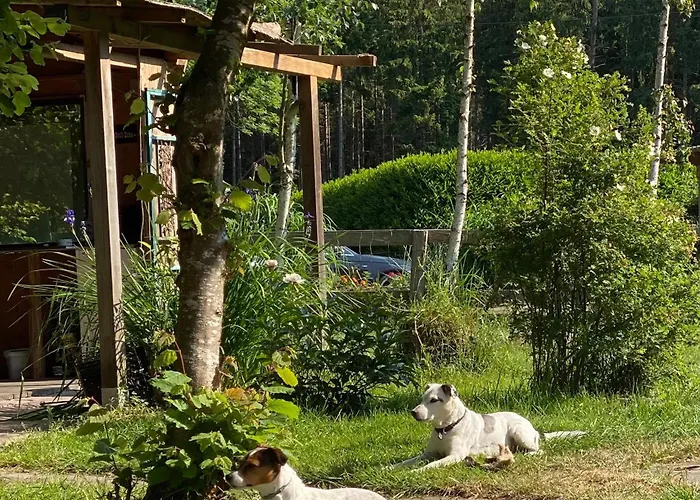 Wunderschoene Zwischen Bremen Und Hamburg