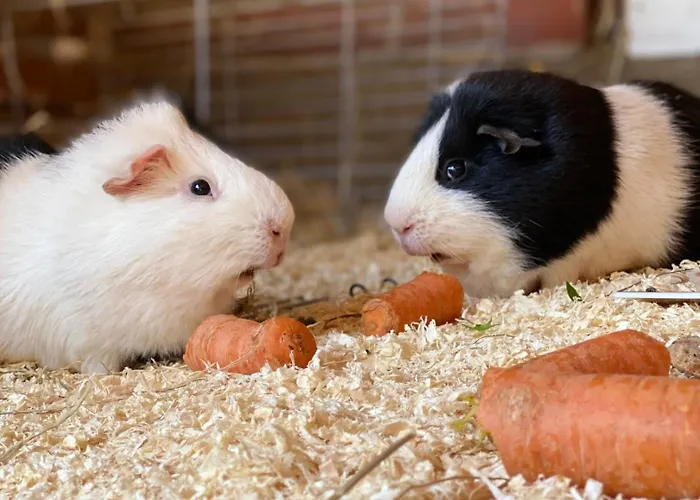 Apartmán Wunderschoene Zwischen Bremen Und Hamburg Alfstedt