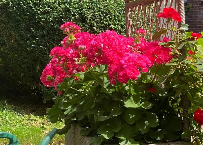 Apartmán Wunderschoene Zwischen Bremen Und Hamburg *