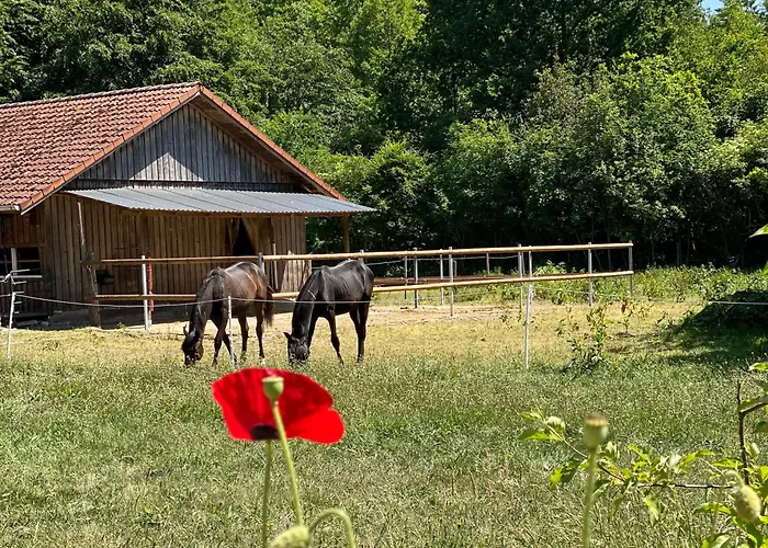 Wunderschoene Zwischen Bremen Und Hamburg Apartmán *